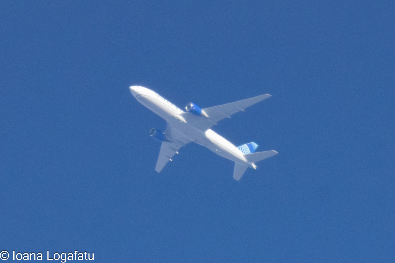 Flying high above the serene blue sky